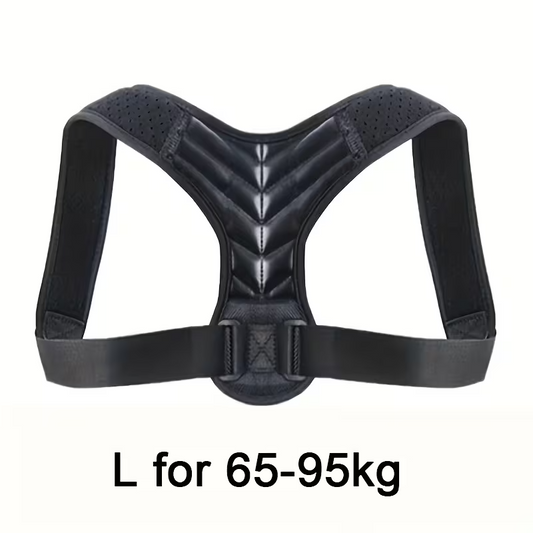 Spinal cord support belt