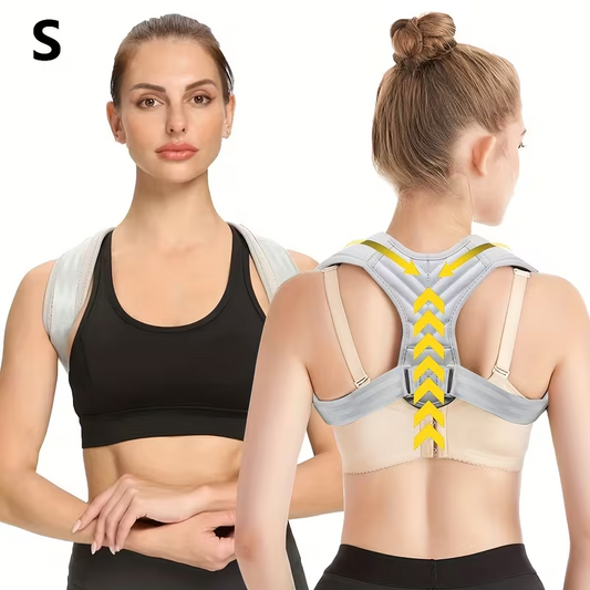 Spinal cord support belt